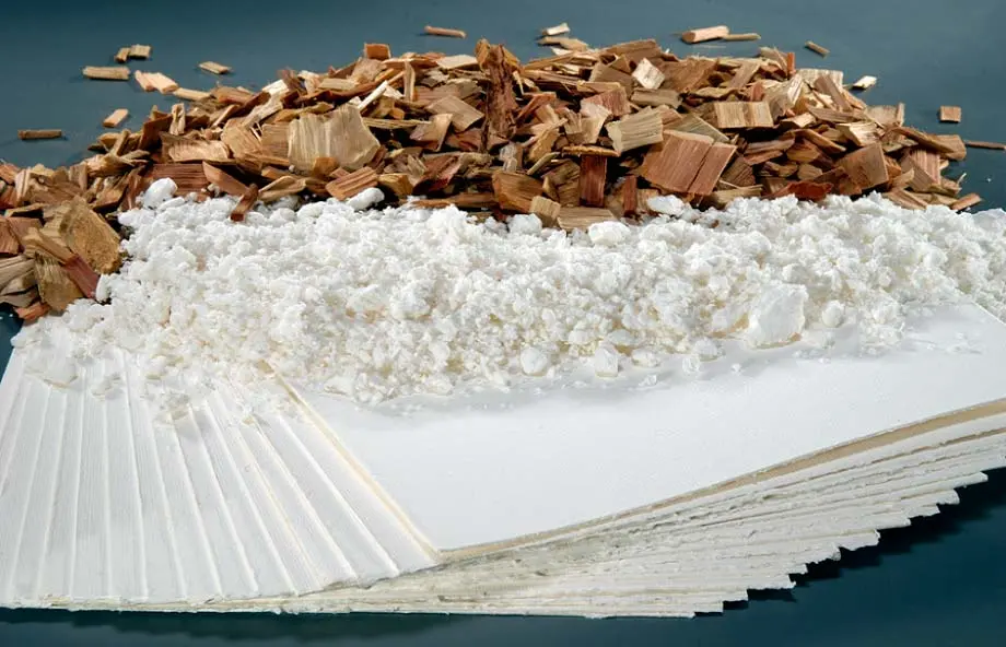 Plano de Saúde Empresarial Bradesco para empresas de celulose e eucalipto — cobertura para plantios e indústria florestal