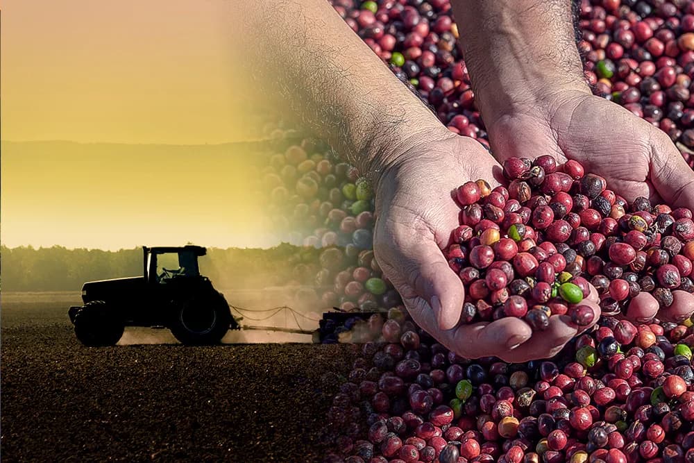 Plano de Saúde Empresarial Bradesco para produtores de café — cobertura para cafeicultores e cooperativas