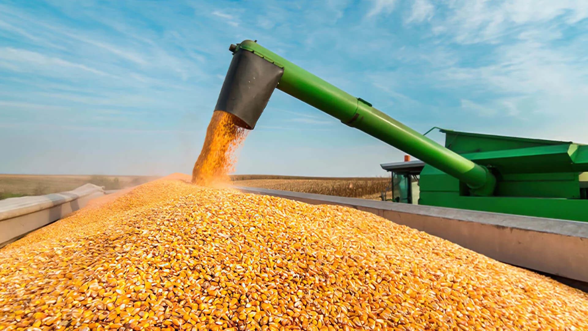 Plano de Saúde Empresarial Bradesco para produtores de milho — cobertura para agricultores e cooperativas